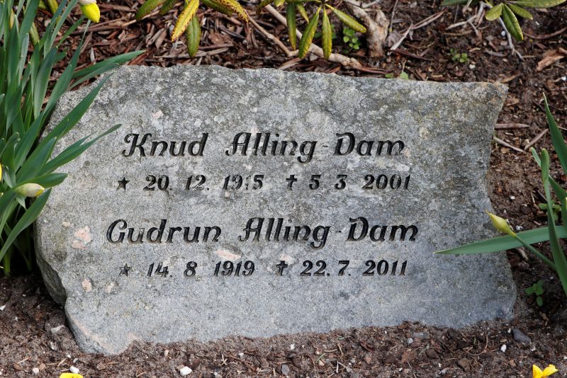Gudrun Alling Dam.JPG